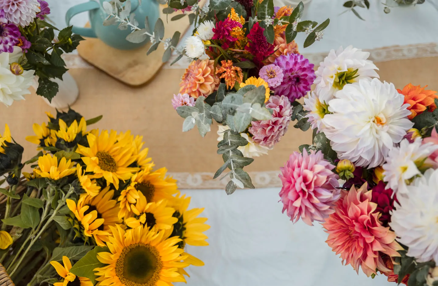 Women picking flowers at the Huon Valley flower farm, Mountain River Flower Patch